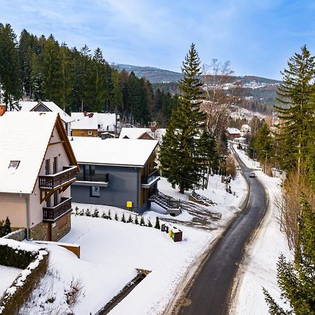 Wonder Home - Villa Vika Z Ogrodem, Z Miejscem Na Grilla I Ognisko คาร์ปัตซ์ ภายนอก รูปภาพ